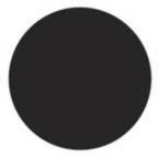 2″GLSSY BLK CONTOURS DISC