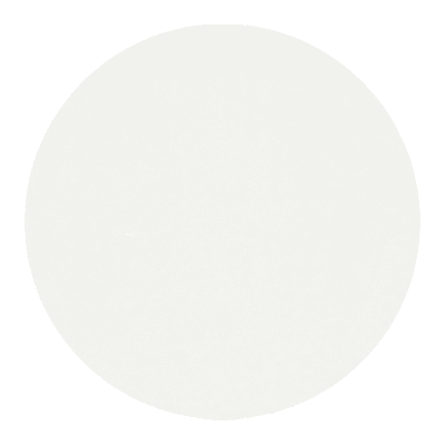 6″WHITE DYNASUB ALUM DISC