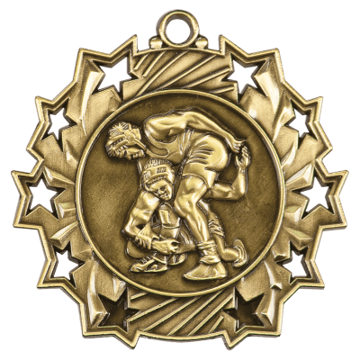 GLD WRESTLNG TEN STAR MED