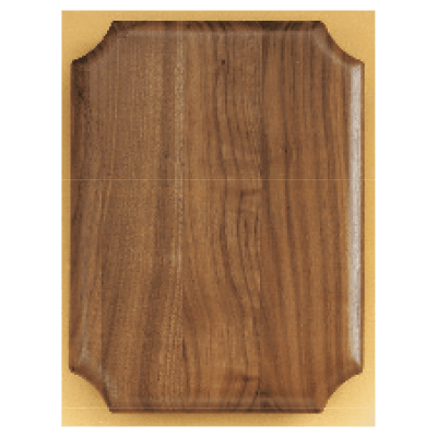 11X15 WLNT AIRFLYTE PLAQ