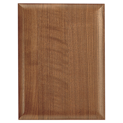 12X15 WLNT AIRFLYTE PLAQ