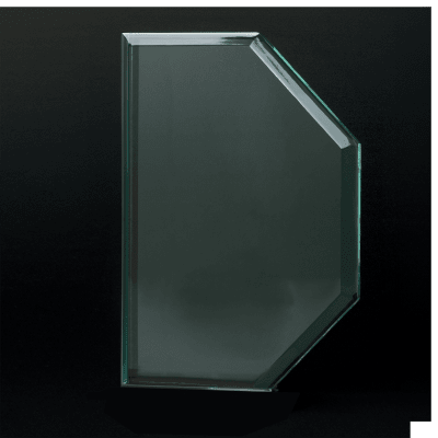 9″ OCTAGON ACRYLIC