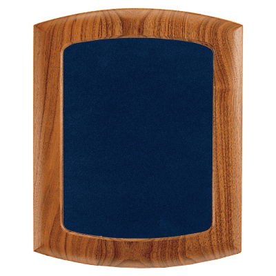 14X17 FRAME W/BLUE VELOUR