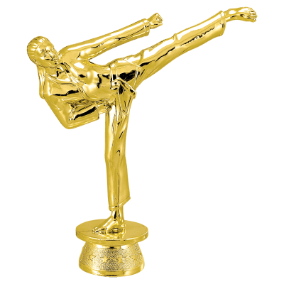 GLD 5″ F MARTIAL ARTS FIG