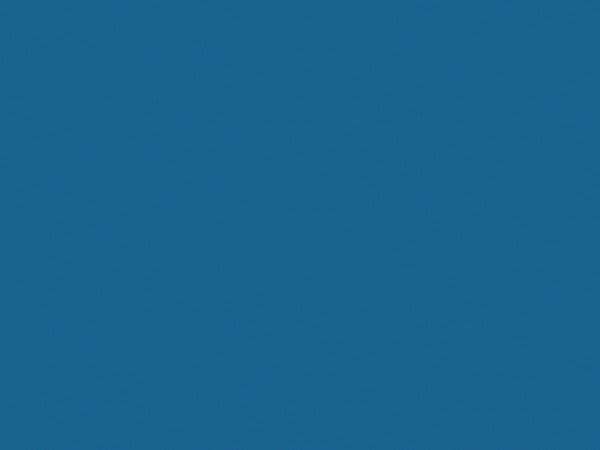 24X49 VALUE APPL BLU 1/32