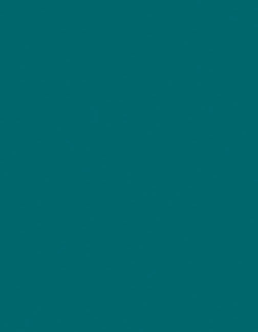 12X24 INTS TEAL SUBST 1/8