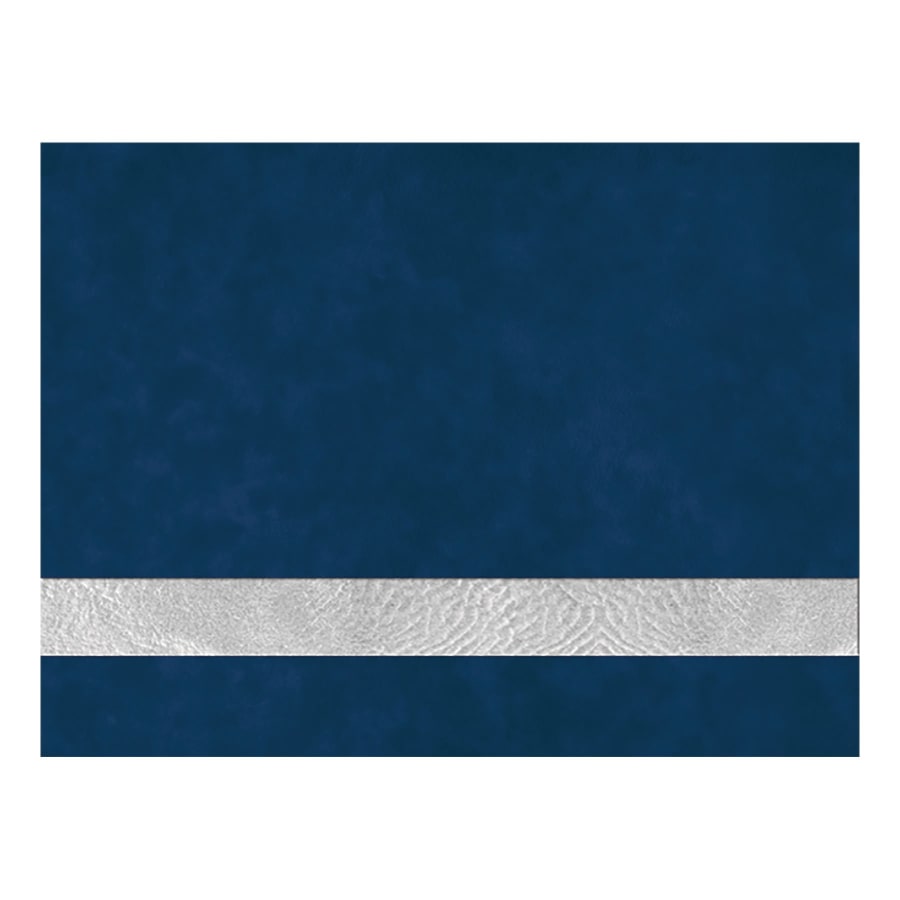 12X24BLU/SLV LSR LTHR SHT