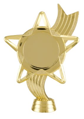 GLD 2″ STAR RIBBN HOLDER
