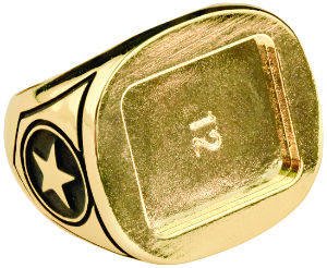 GLD SZ 14CHAMP VER.2 RING