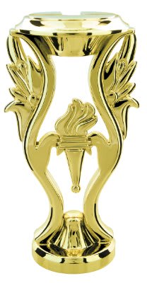 GLD 6″ RISER