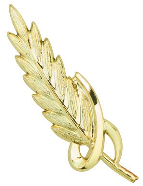 GLD 2 3/4″ PLAQUE TRIM