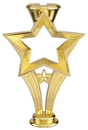 GLD 6″ OPEN STAR RISER