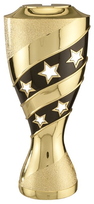 6″ GLD/BLK STAR RISER