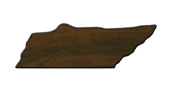 4X15 TENNESSEE PLQ