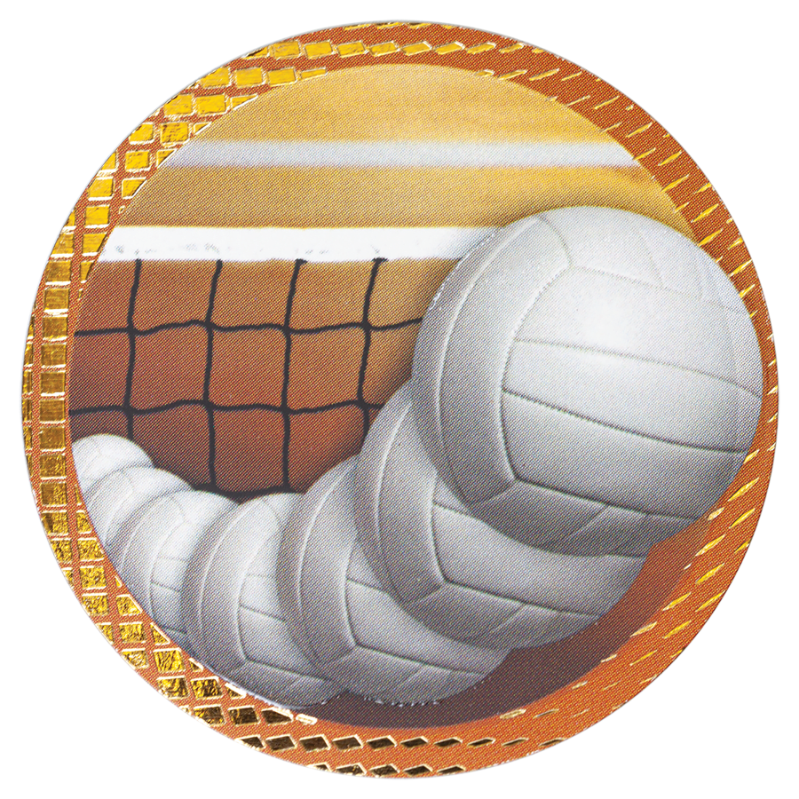 2″ VOLLYBALL DAZZLE INSRT