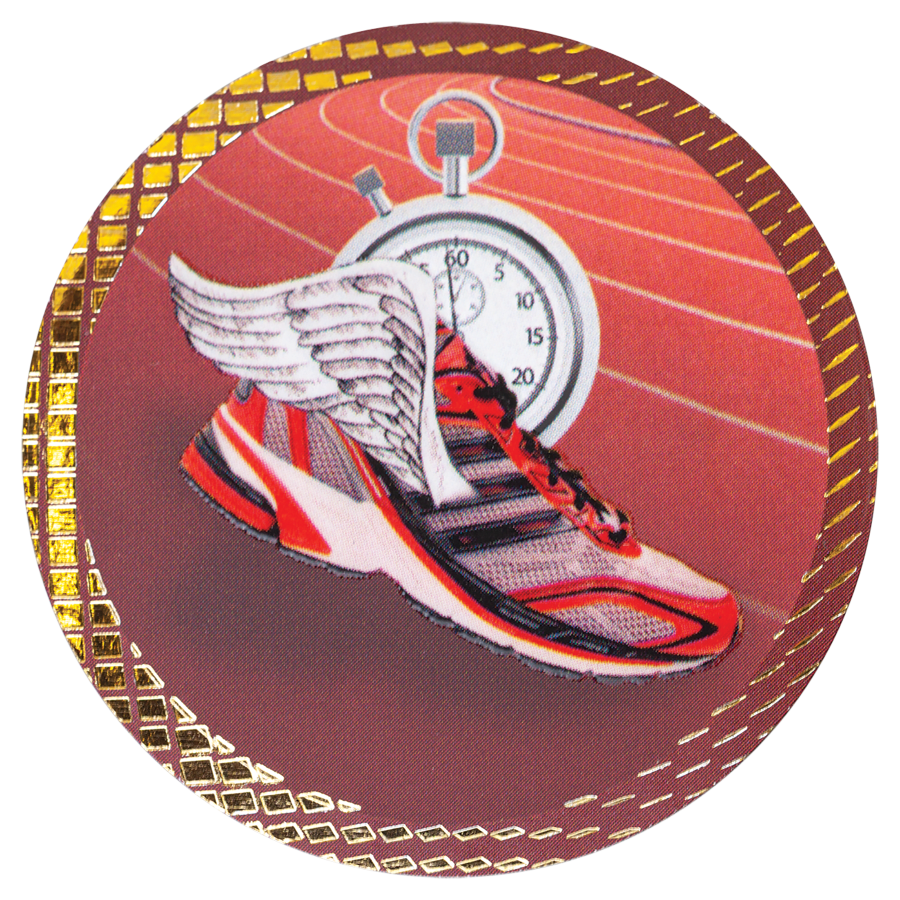 2″ TRACK DAZZLE INSERT