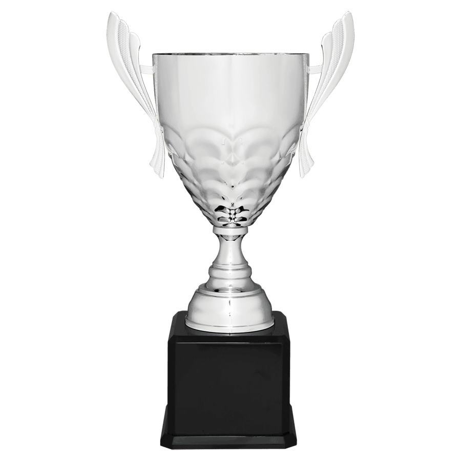 SLV 25.25″ CMPLTD MTL CUP