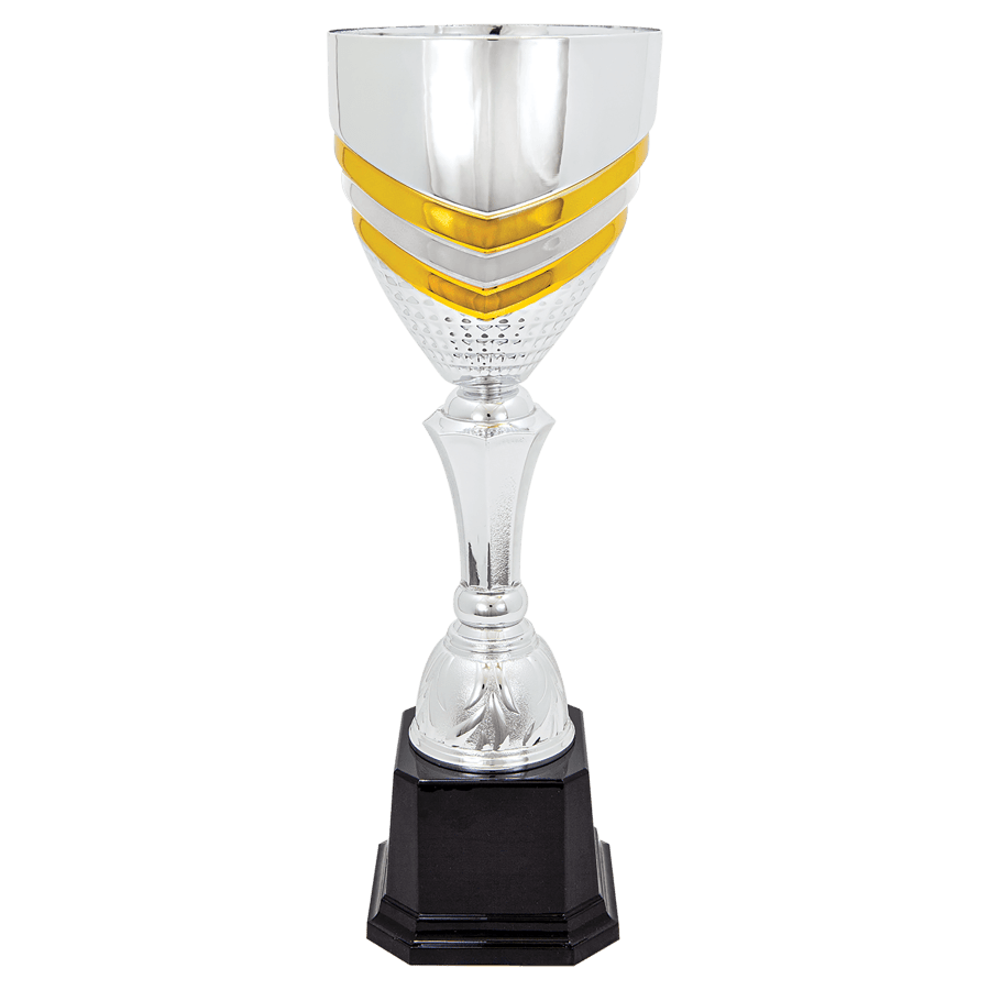 SLV/GLD 15″CMPLTD MTL CUP