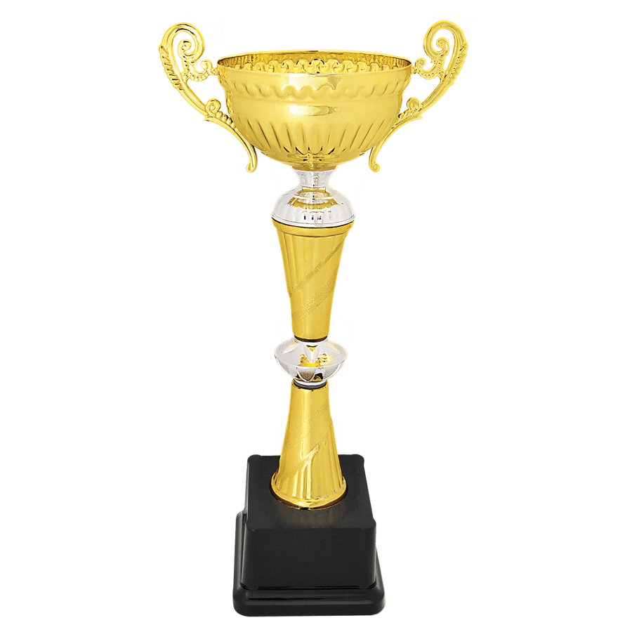12″ GLD/SLV CPLTD MTL CUP