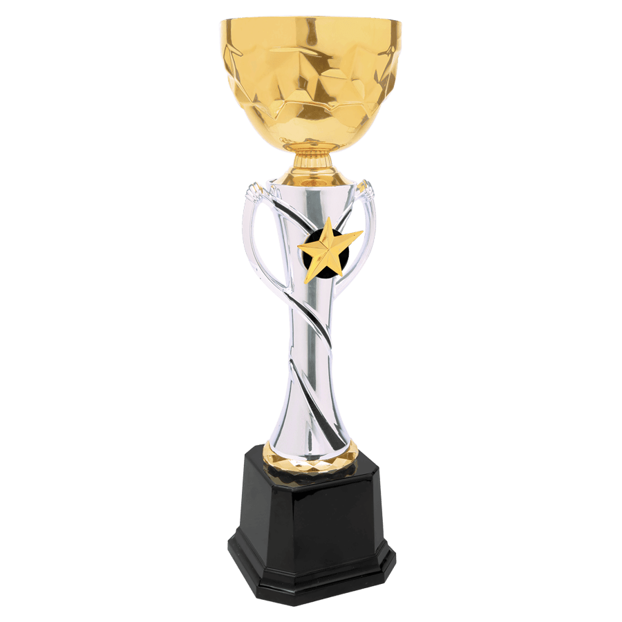 GLD/SLV 14″CMPLTD MTL CUP