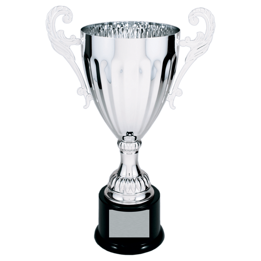 SLV 12″ COMPLETED MTL CUP