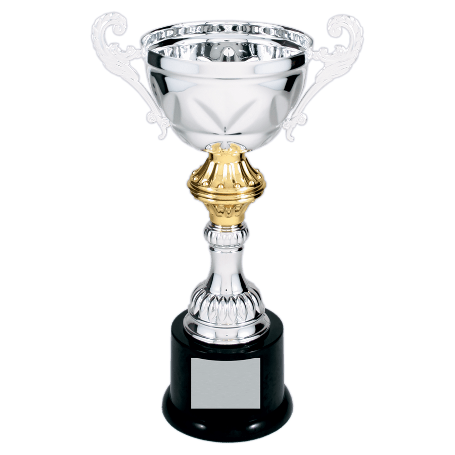 SLV/GLD 10″ CMP MTL CUP