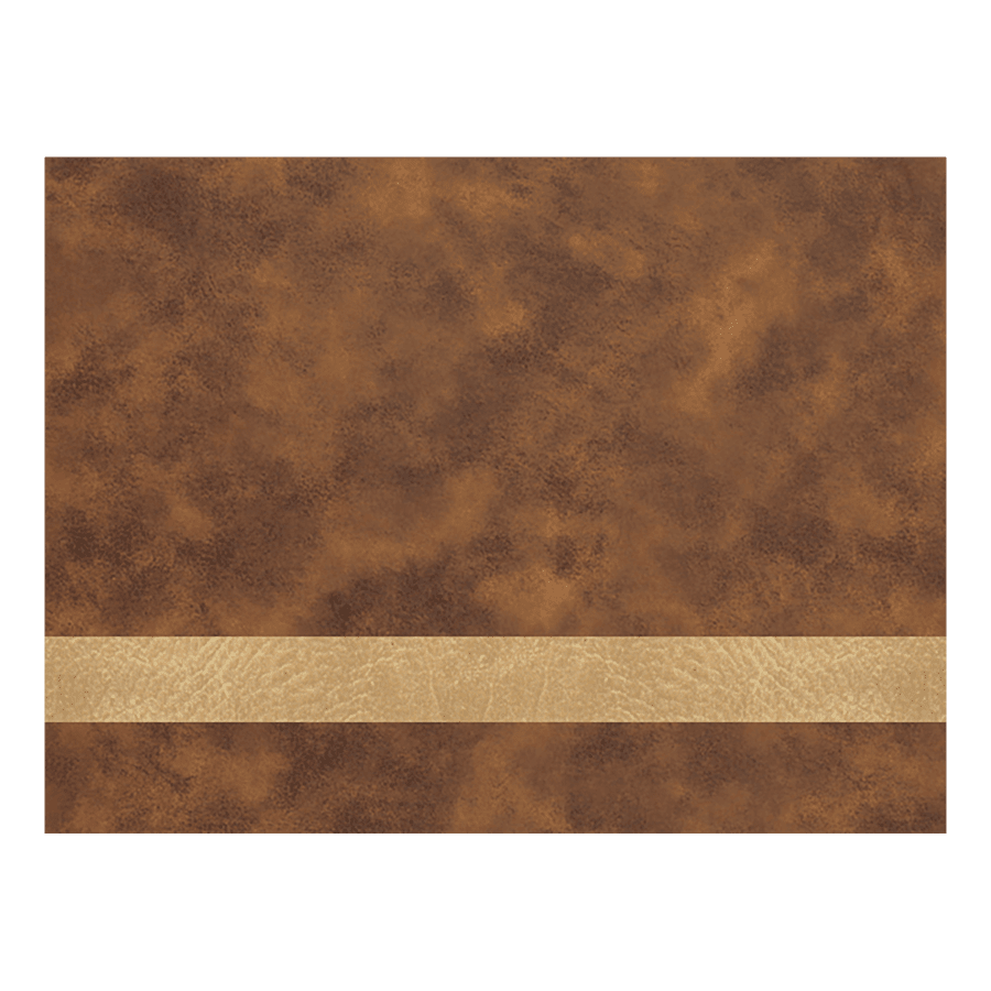 12X24 RSTC/GLD LEATHER