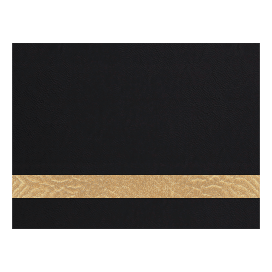 12X24 BLK/GLD LEATHER