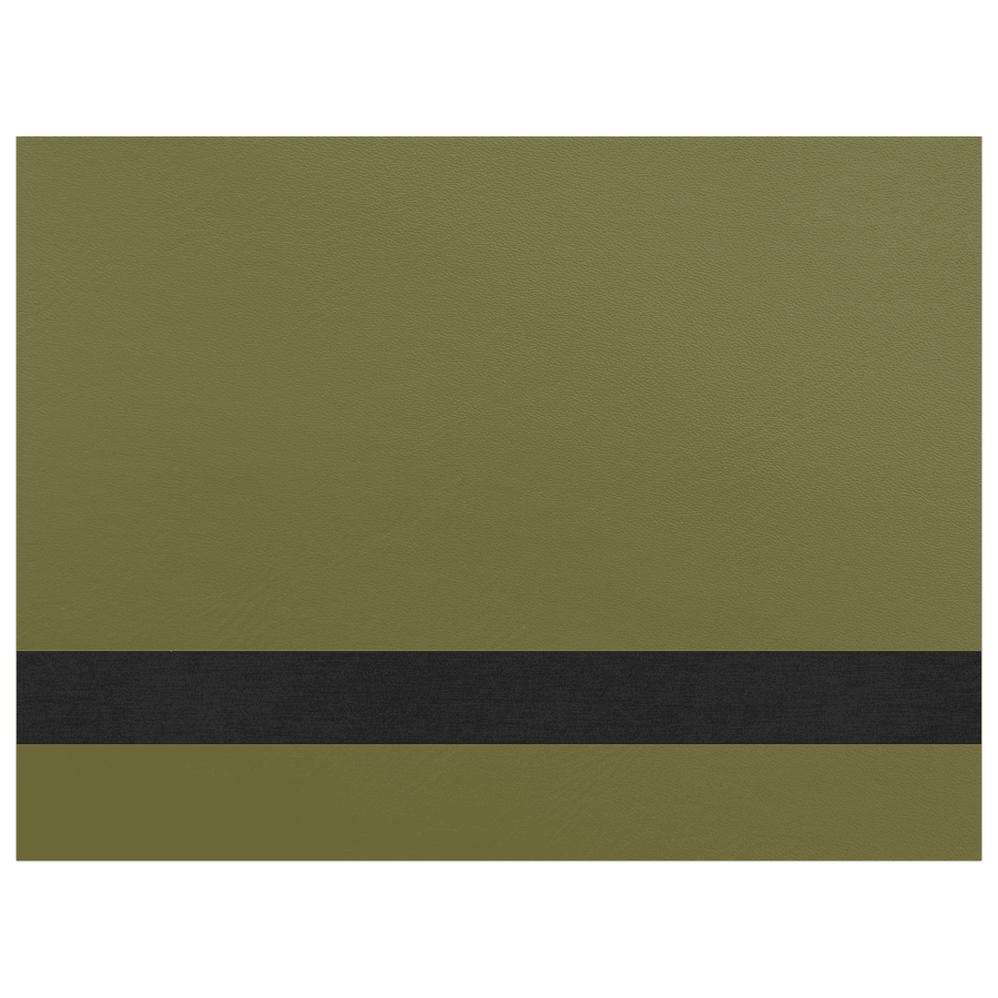 12X24 OLIVE GRN LTHR SHT