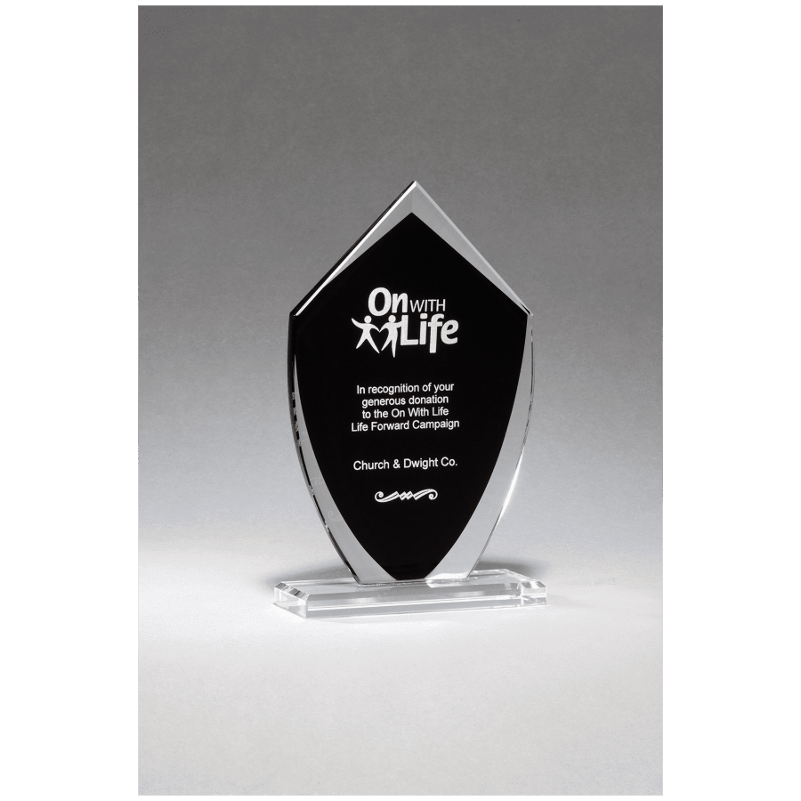 5.5X9.25 SHIELD BLK GLASS