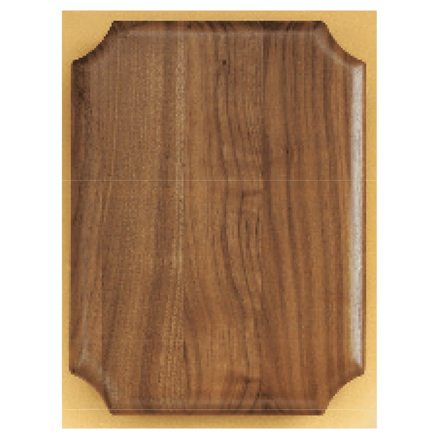 7X8 WLNT AIRFLYTE PLAQUE