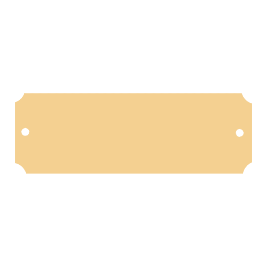 1X3 BRUSHED BRASS PLATE