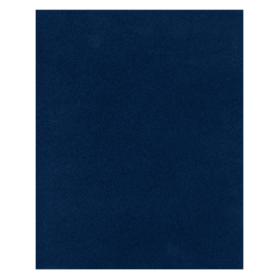 8X10 BLUE VELOUR BACKING