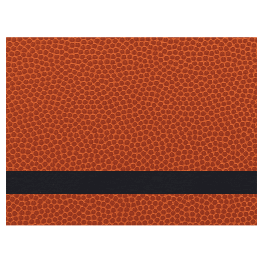 12X24 PREMIER BASKETBALL