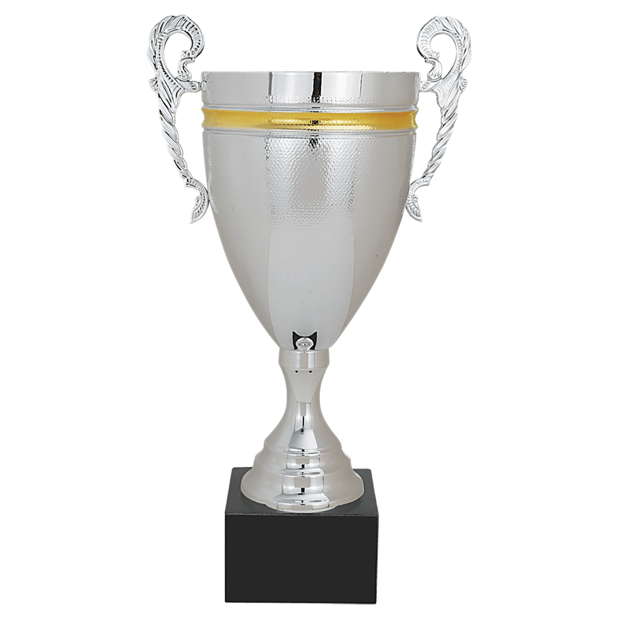 SLV/GLD 16.75″ CMPLTD MTL