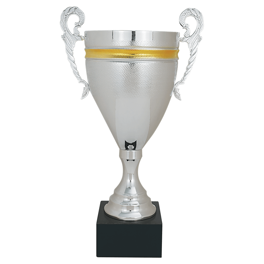 SLV/GLD 17.75″ CMPLTD MTL