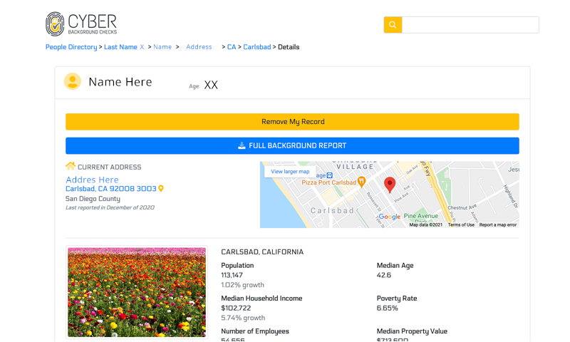 CyberBackgroundChecks Individual Record Page