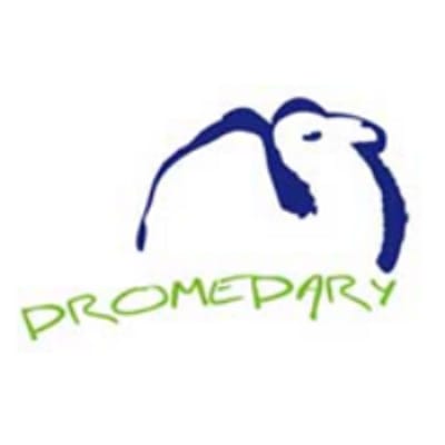 DROMEDARY