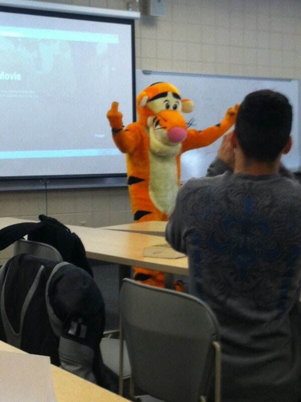 Projector Screen