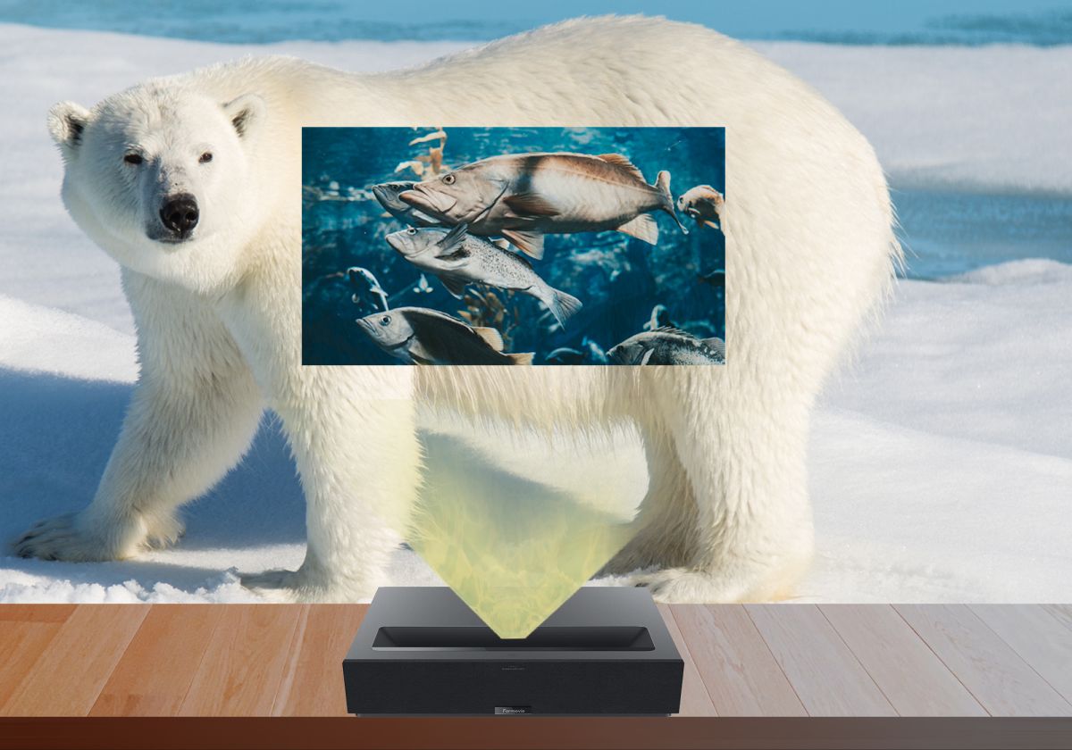 Polar Bear Projector Screen