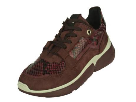 floris-van-bommel-floris-van-bommel-sport-sportieve-lage-veterschoen-damesschoenen-maat-37-5-40-bordo-snake(11975)