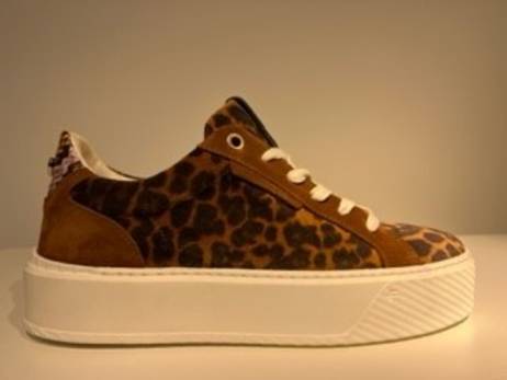 floris-van-bommel-winni-01-10-damesschoenen-maat-38-38-5-39-41-cognac(19995)