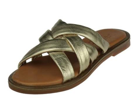 pitt-aster-damesschoenen-maat-37-38-39-goud(5575)