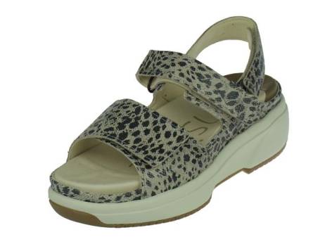 xsensible-aruba-damesschoenen-maat-39-40-41-taupe(17995)