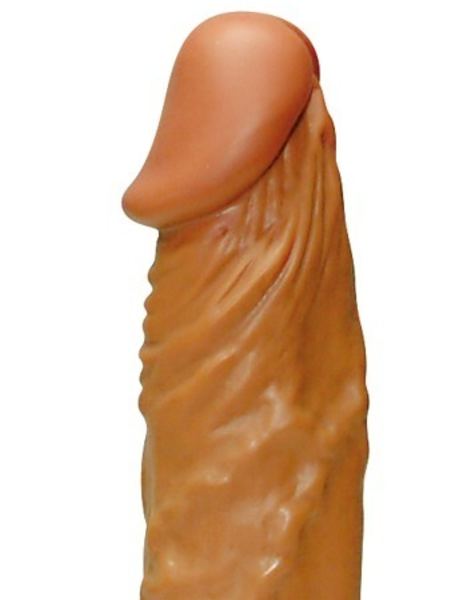dong-brown-latin-lover-(1795)