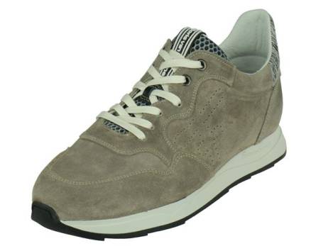 Floris Van Bommel Sport Herenschoenen Maat 11 Taupe Suede Combi