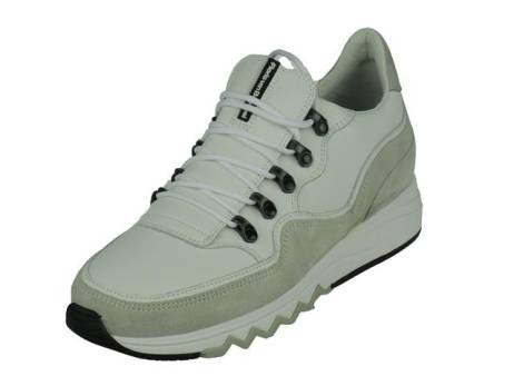 Floris Van Bommel Sport Herenschoenen Maat 7 5 Wit