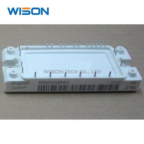BSM10GP60 BSM15GP60 BSM20GP60 BSM30GP60 B...