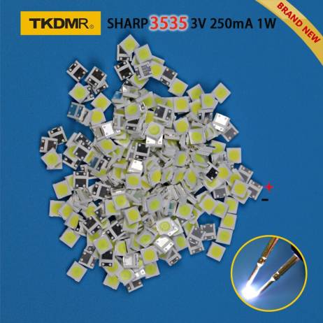 4000055515571