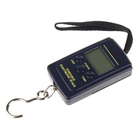 Digital Handy Fishing Tools High Quality Electronic Scale 40KG 88LB Portable Crap Fishing Accessories Electronic Balance